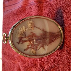 Vintage dried flower picture